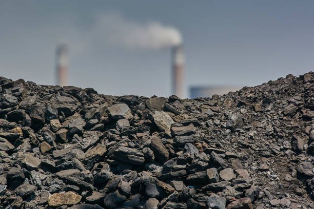 DPR Minta Pemerintah Evaluasi Tata Kelola Batu Bara