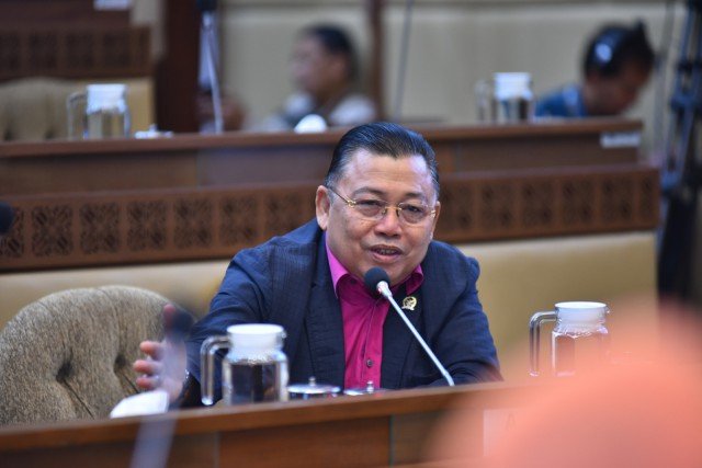 IKN yang Bersifat Otorita dan Pemda Khusus Dikritik DPR