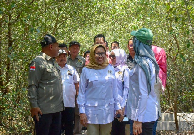 Anggota DPR Sambut Baik Keberadaan Kebun Raya Mangrove Surabaya