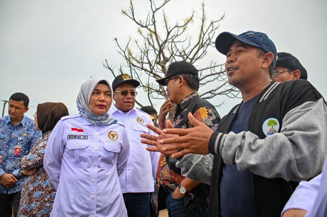 DPR Temukan Banyak Mangrove yang Mati di Desa Lontar Serang