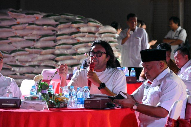 DPR Dorong Bulog Serap Lebih Banyak Beras Varietas Unggul Lokal