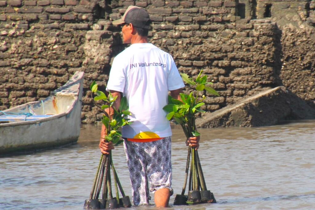 BNI Tanam 258.000 Mangrove, Perkuat Konservasi dan Ekonomi Masyarakat Pesisir